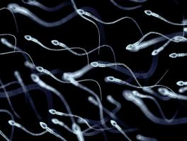 “197名后代诞生：欧洲携致癌基因捐精者引发的伦理争议”