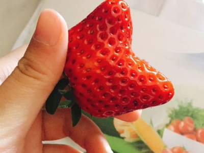个头更大草莓的无辜真相揭秘